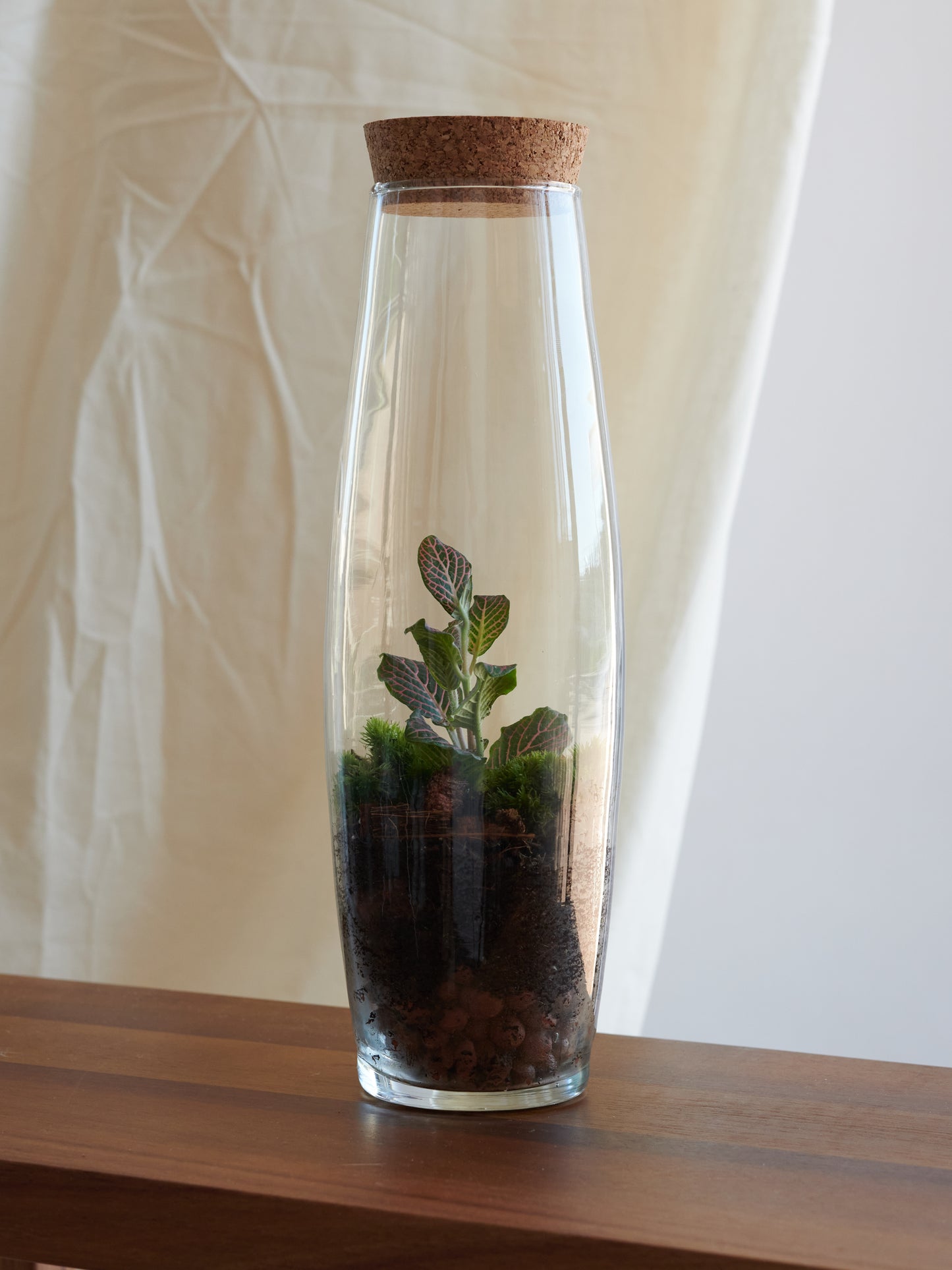 Wine Terrarium