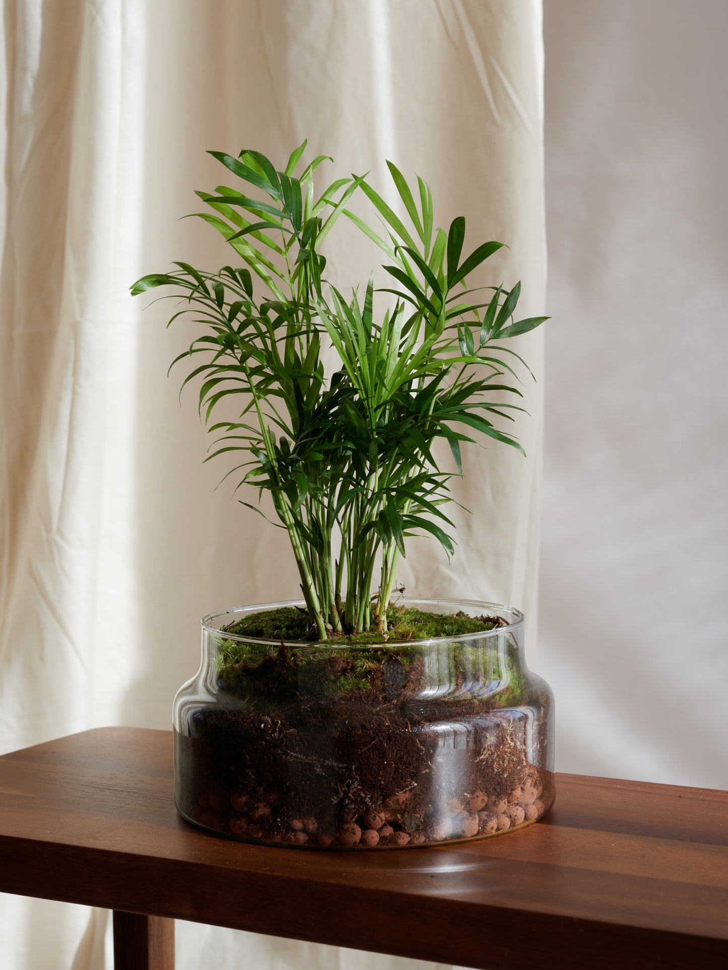 Fiji Terrarium - Islands