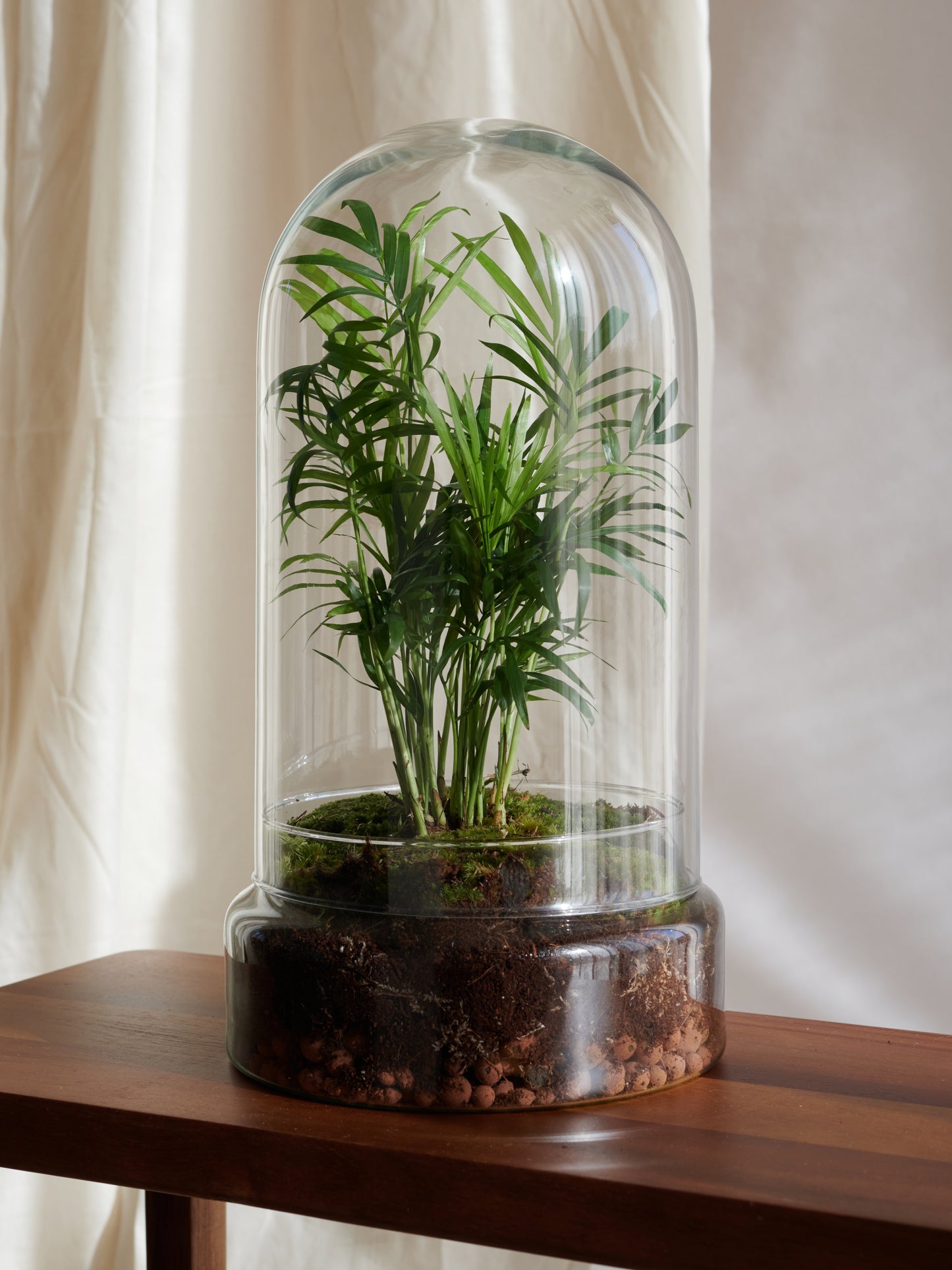 Fiji Terrarium - Islands