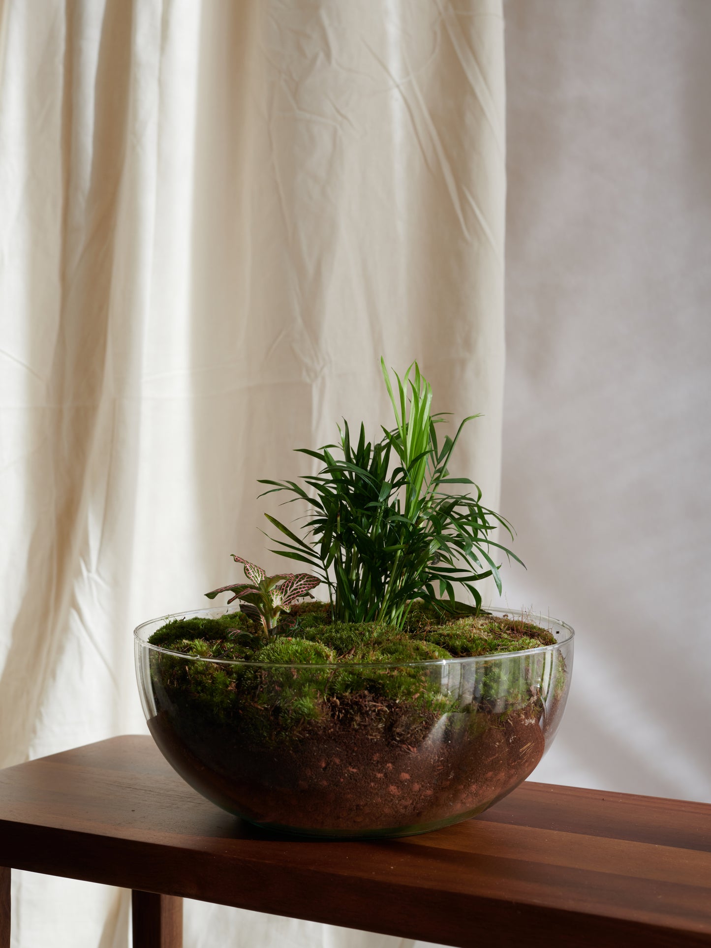 Planets Sphere Terrarium - Islands