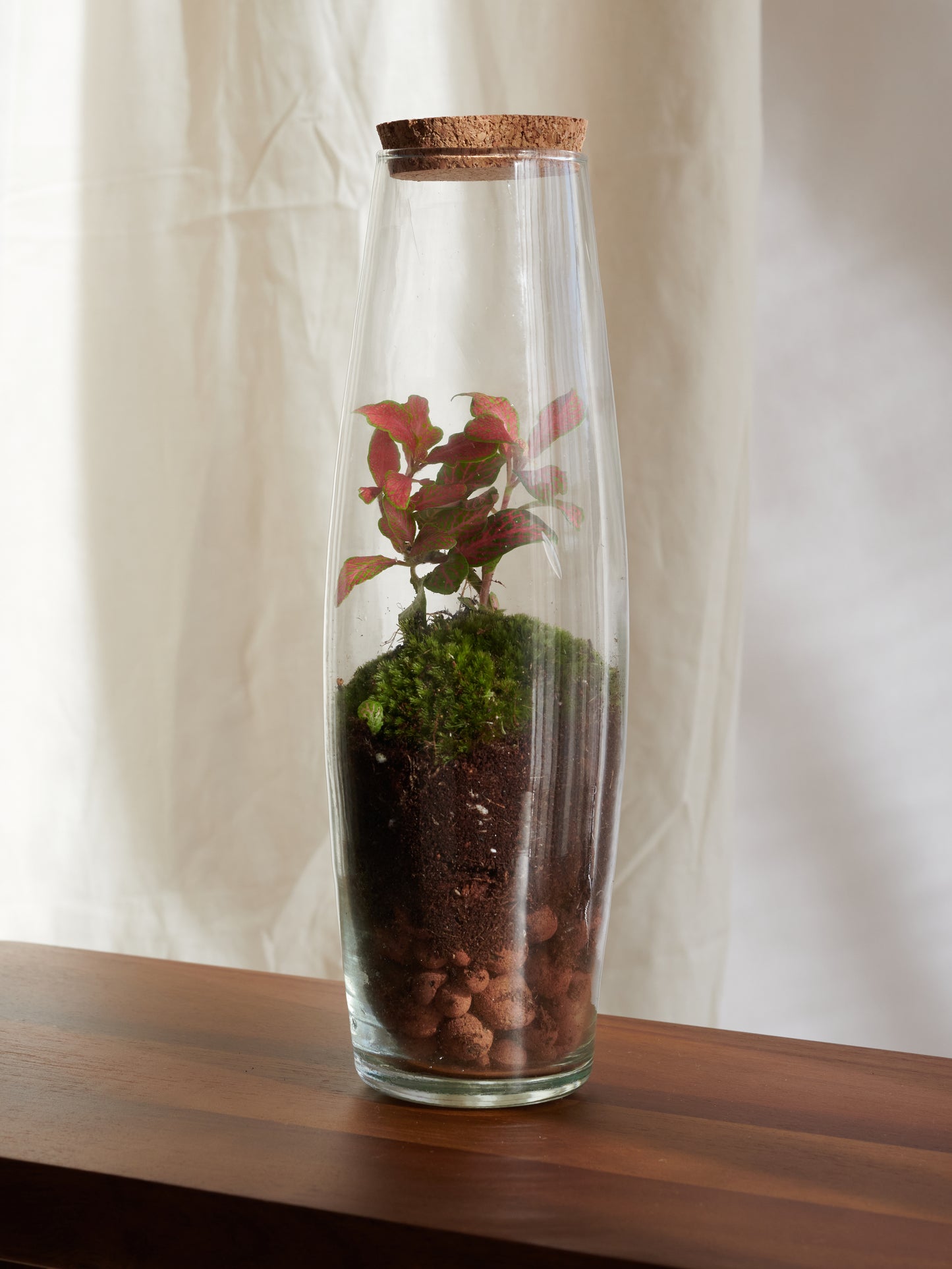 Wine Terrarium